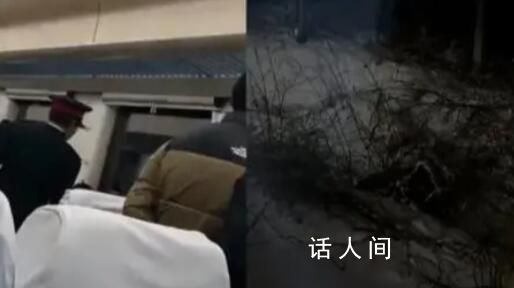 K7541列車與兩頭野豬相撞致晚點(diǎn) 導(dǎo)致列車晚點(diǎn)35分鐘