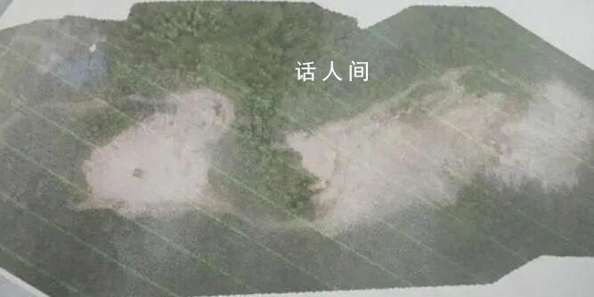 男子鏟毀自家林地建養豬場被判刑 被判處有期徒刑六個月并處罰金一萬元