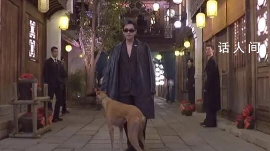 張若昀遛狗走紅毯 狗子拽都拽不住