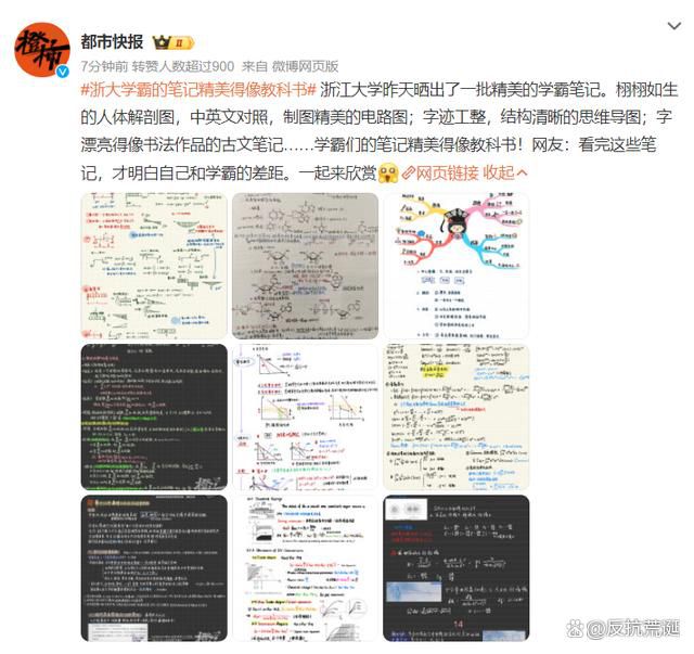 浙大學霸的筆記精美得像教科書 網友感嘆才明白自己和學霸的差距在哪里