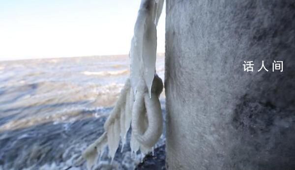 青島膠州灣出現海冰凌景觀 成為寒冬一道美麗風景