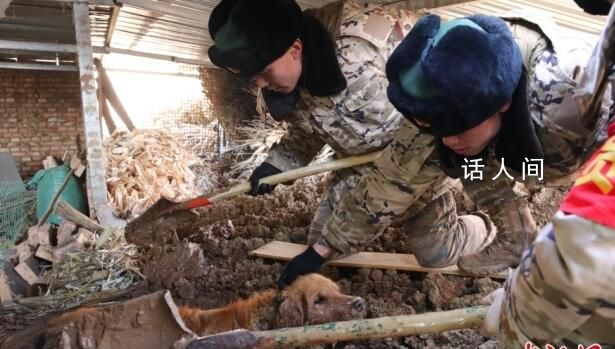 金毛震后泥漿被困30小時獲救 每一個生命都應該被尊重