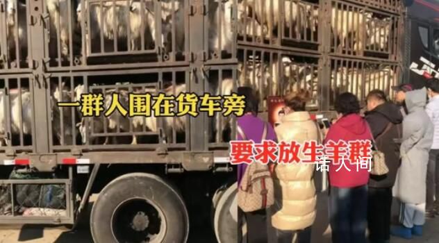 中年男女站在載羊貨車旁要求放生 不評價行為只關心交易