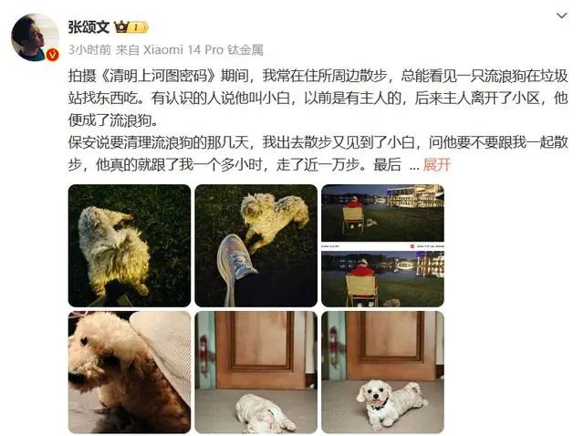 張頌文領養了流浪狗 開啟了他們之間一段充滿愛與溫暖的旅程