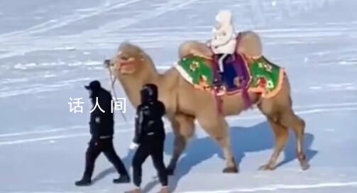 哈爾濱雪地里有駱駝了 以前從來沒有這些項目