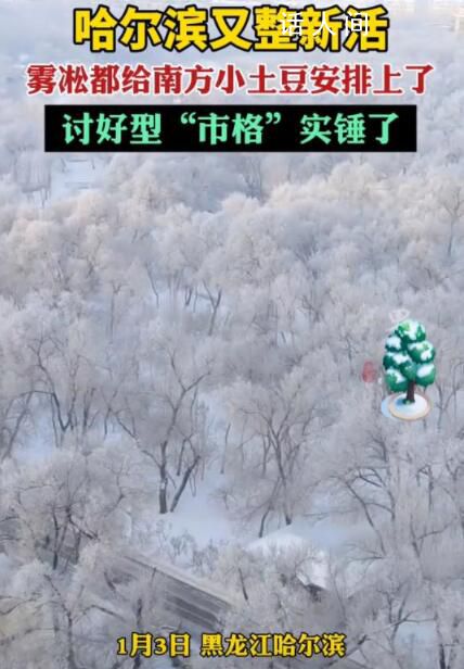 哈爾濱“討好型市格”實(shí)錘 出租車司機(jī)都開(kāi)始溫柔待人了