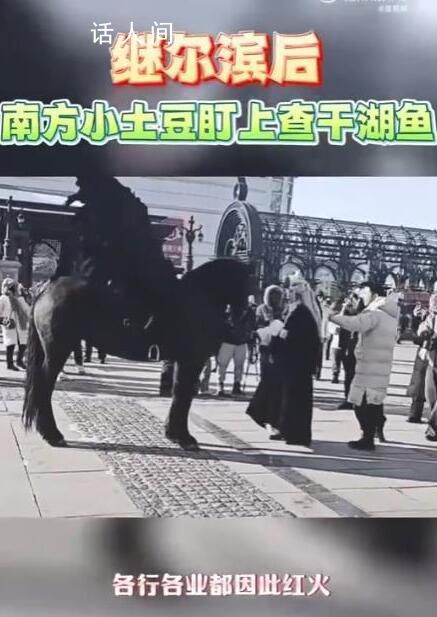 繼爾濱后南方小土豆盯上查干湖魚 查干湖冬捕成為了旅游熱點