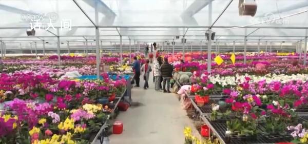 各地鄉村振興玩出“新花樣” 讓冬日里的鄉村煥發新活力