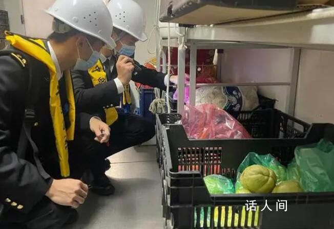 拱北海關首次截獲瘦須溜蠅 瘦須溜蠅對畜牧業危害很大