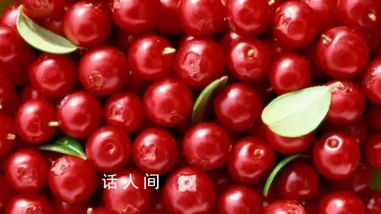 各地有哪些“反差感”特產 向爾濱的回禮引發全國特產大摸底