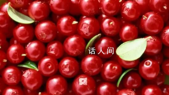 向爾濱的回禮引發全國特產大摸底 各地有哪些反差感