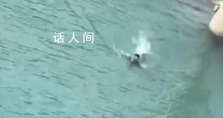 妻子跳江 丈夫下水營救不幸溺亡