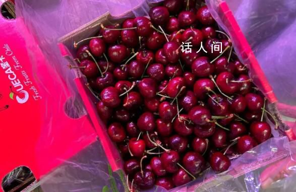 進口車厘子價格大跳水 現在貨太多了價格很難起來