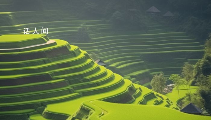 2024年國際所有節(jié)日有哪些 2024年全部國際節(jié)日明細(xì)大全