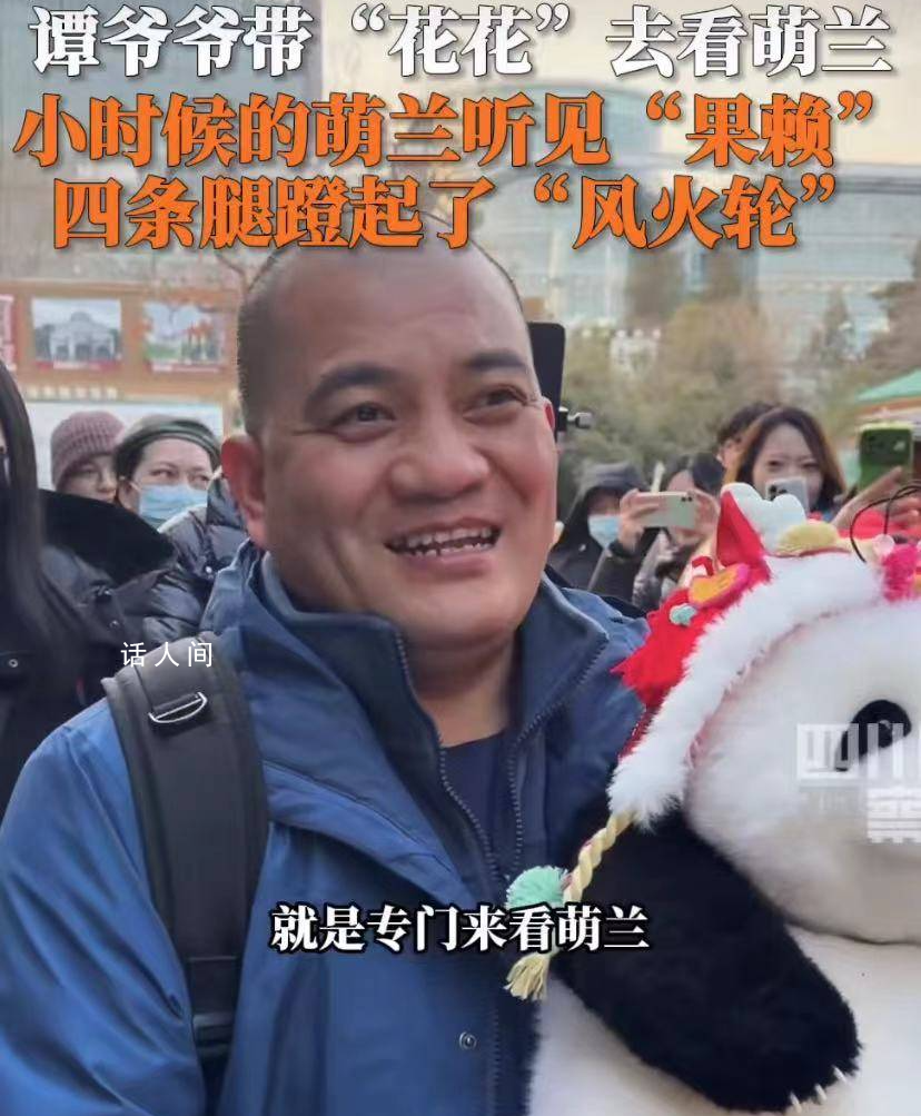 譚爺爺帶“花花”去看萌蘭 被不少粉絲認出圍觀求合影