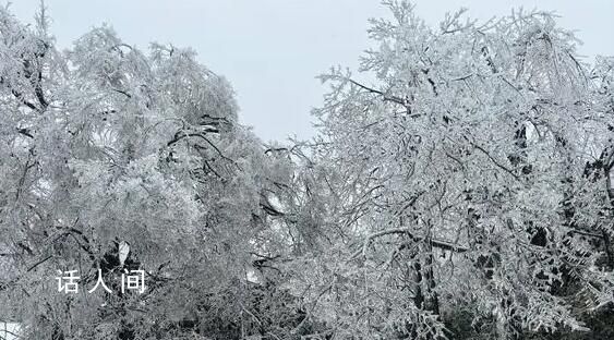 張家界迎來2024年首場大雪 游客們盡情享受冰雪的樂趣