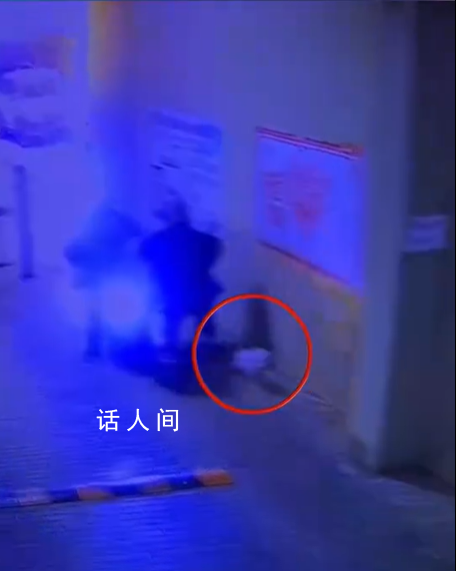 主人撞車 狗子直接跑路