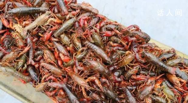 215元買2袋蝦 有45元都是水