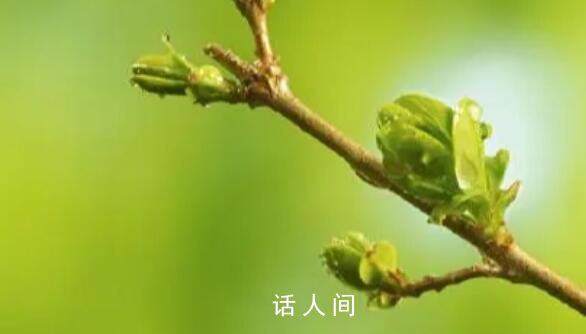 兔年的第二個立春來了 為什么會有兩個立春