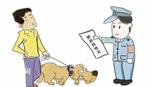 最高法:禁養的烈性犬傷人 犬主全責
