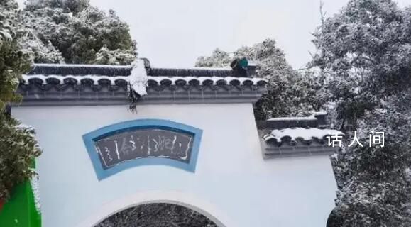 武漢暴雪兩只孔雀被凍在墻頂 已成功救下孔雀狀態(tài)良好