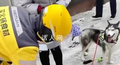 路面結冰小哥帶哈士奇送外賣 網友:這只狗的狗糧都是自己賺來的