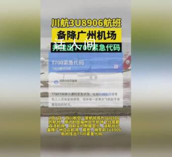 航班備降廣州機場 川航:引氣故障