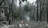 湖北人上班像叢林探險 一場突如其來的凍雨讓湖北人變得舉步維艱