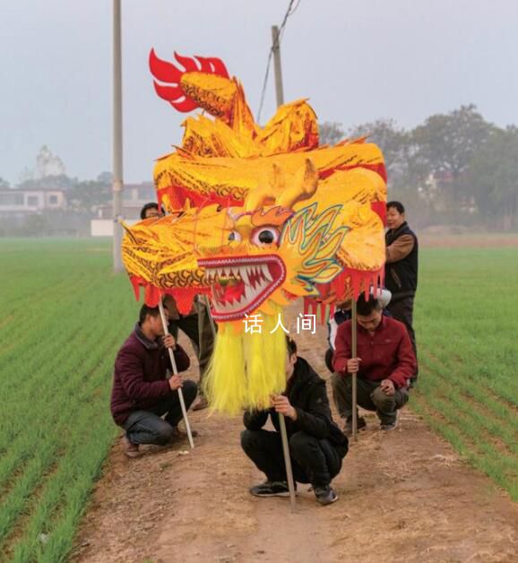 人均收入3萬河南小村靠龍發(fā)財 80%的人都在做這一行