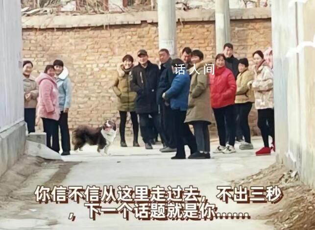 青年外出打工3年被傳“已被槍斃” 農村碎嘴子現象已然有了相對普遍性和鮮明的社會性