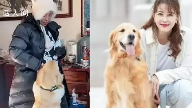 演員李勤勤收養周海媚愛犬 與新家人不斷互動看起來很精神