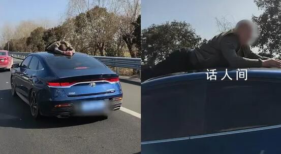 女子高速遭陌生男子爬車頂搶方向盤 被拉下去后又爬上車頂