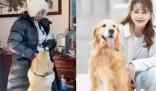 演員李勤勤收養(yǎng)周海媚愛犬 與新家人不斷互動看起來很精神