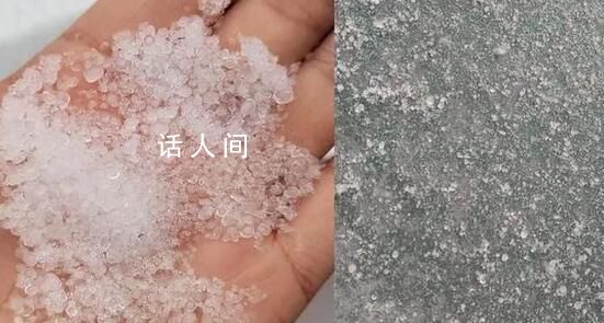 鄭州下“大米粒”冰雹雨 清雪工作仍在緊張有序進行中