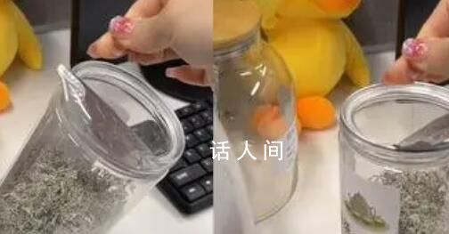 女子稱去胖東來買茶葉發(fā)現(xiàn)有頭發(fā) 胖東來回應(yīng)：可能是攤晾時(shí)沒弄干凈