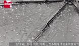 河南河北山西多地下“霰” 霰和冰雹的區別是什么