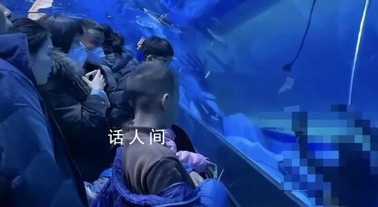 鄭州潛水員溺亡海洋館發布情況說明 已與家屬妥善完成善后工作