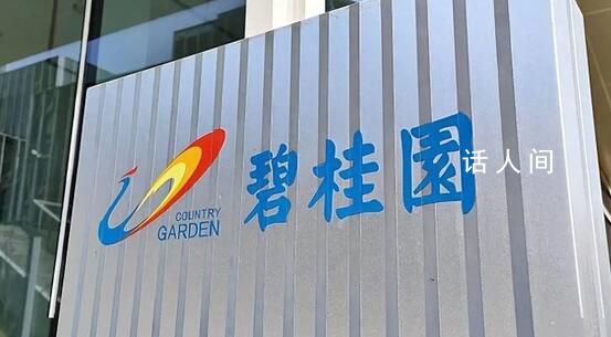 碧桂園被提出清盤呈請 公司回應稱堅決反對