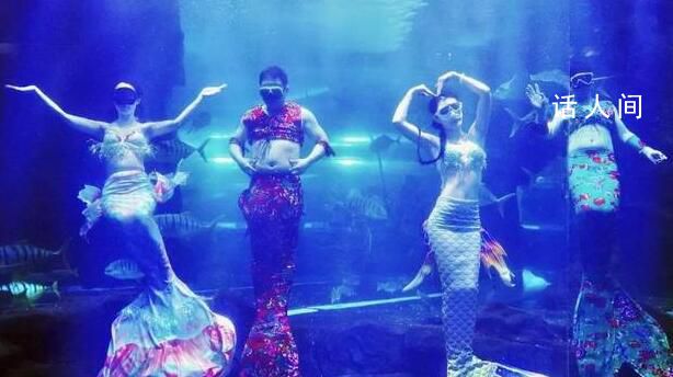 男子替班演美人魚走紅 男子回應稱本不愿表演被館長的獎金砸動