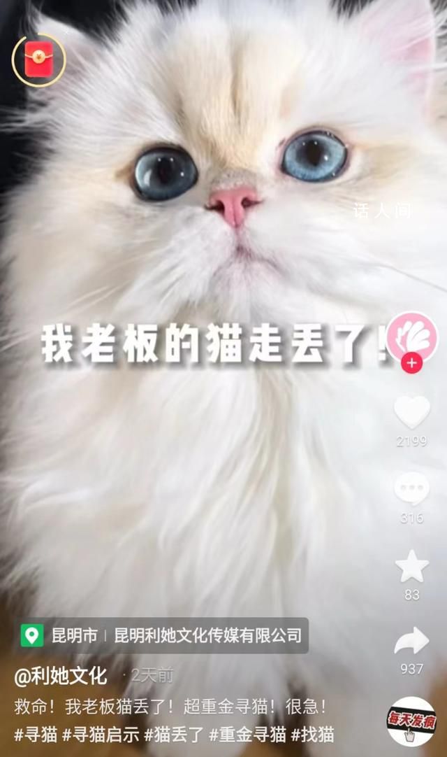 女生歸還走失貓咪獲主人6萬賞金 網(wǎng)友質(zhì)疑是公司營銷出來的劇本