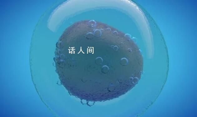 艾滋病已是可防可控可治的慢性病 擁抱握手共同進餐等不會傳播艾滋病