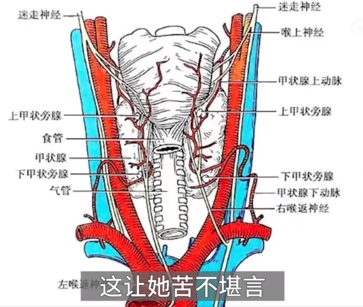 女生唱歌突然跑調查出惡性腫瘤 這讓她苦不堪言