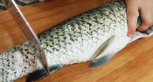 中國科學家研究出無刺草魚 將極大地推動水產養殖業的發展