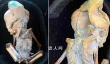 “形似外星人”的木乃伊曝光 具有哺乳動物的特征