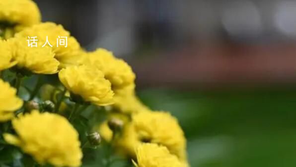 南通禁止制造銷(xiāo)售紙錢(qián) 當(dāng)?shù)鼗貞?yīng)