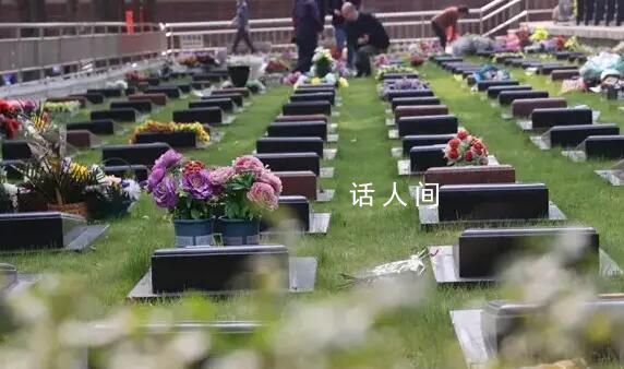 清明節(jié)前AI復(fù)活親人成熱門生意 你跟我講情我跟你談錢