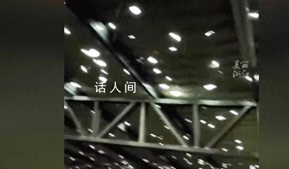 冰雹過后 蔬菜大棚爆改星空頂