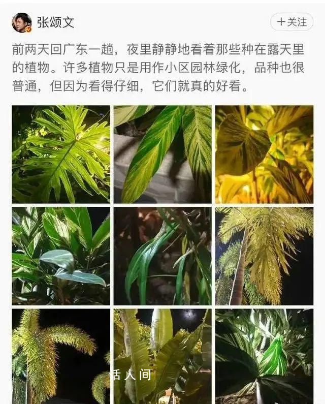 澤連斯基被問到俄恐襲露出詭異微笑 令人不禁悚然