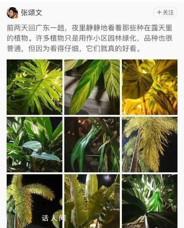 雷軍回復張頌文 你喜歡哪種顏色?