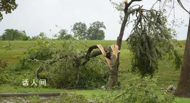 南昌紅谷灘1600多棵樹一夜被吹倒 已造成南昌市4人死亡10余人受傷